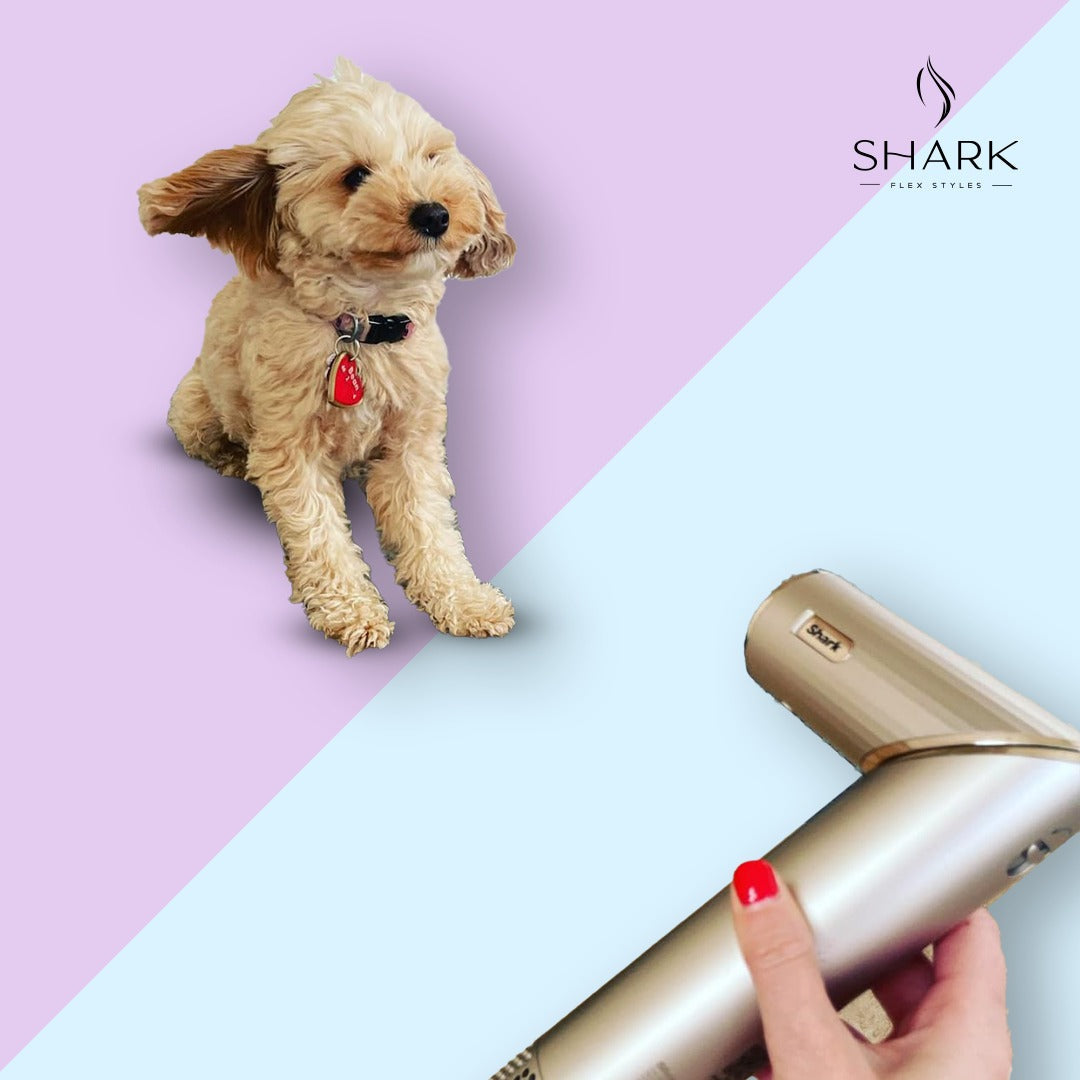 Shark FlexStyle Multi-Styler HD430 (Limited Edition)